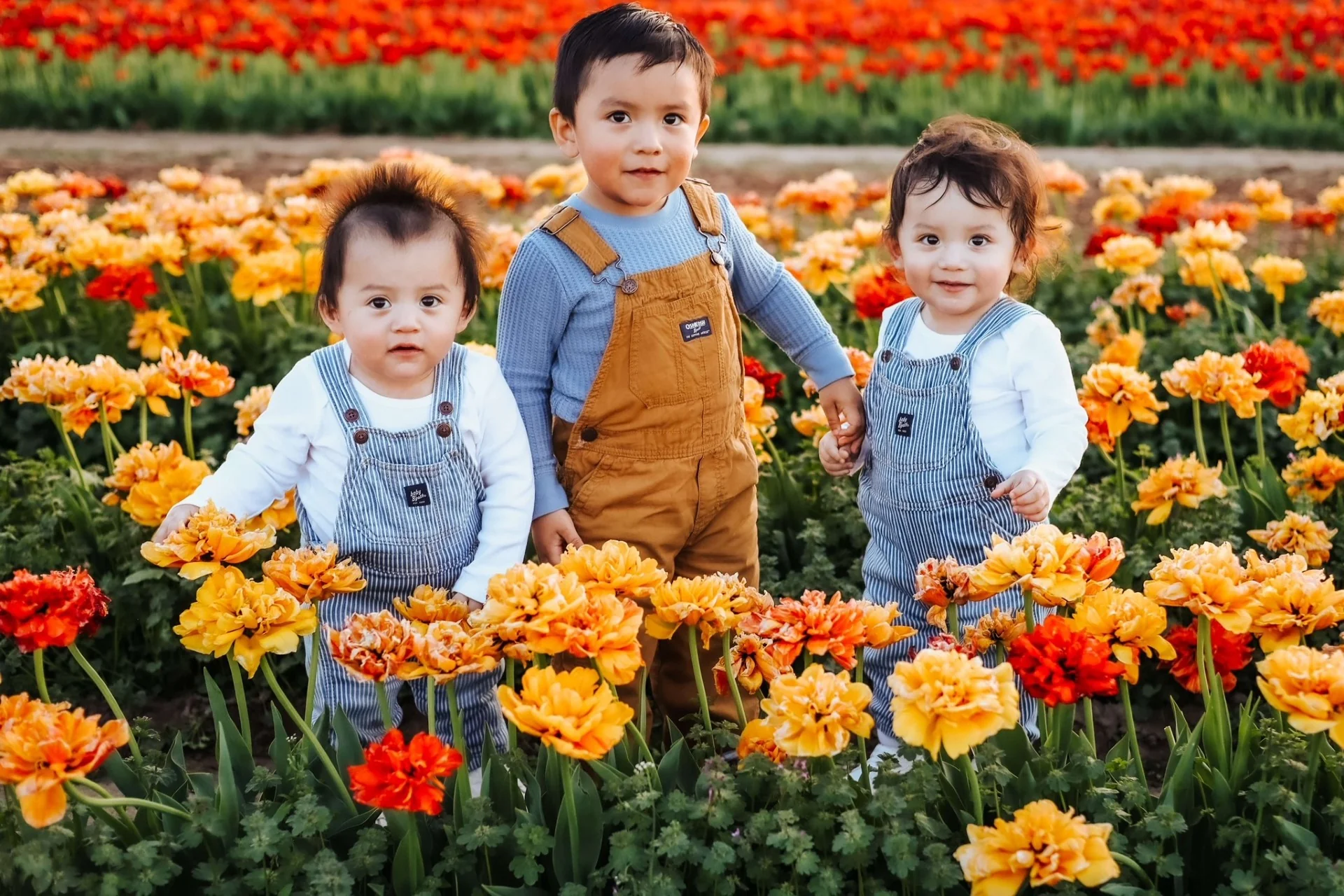 Middleton's Tulip Festival Field Trips 2026 - Image 3